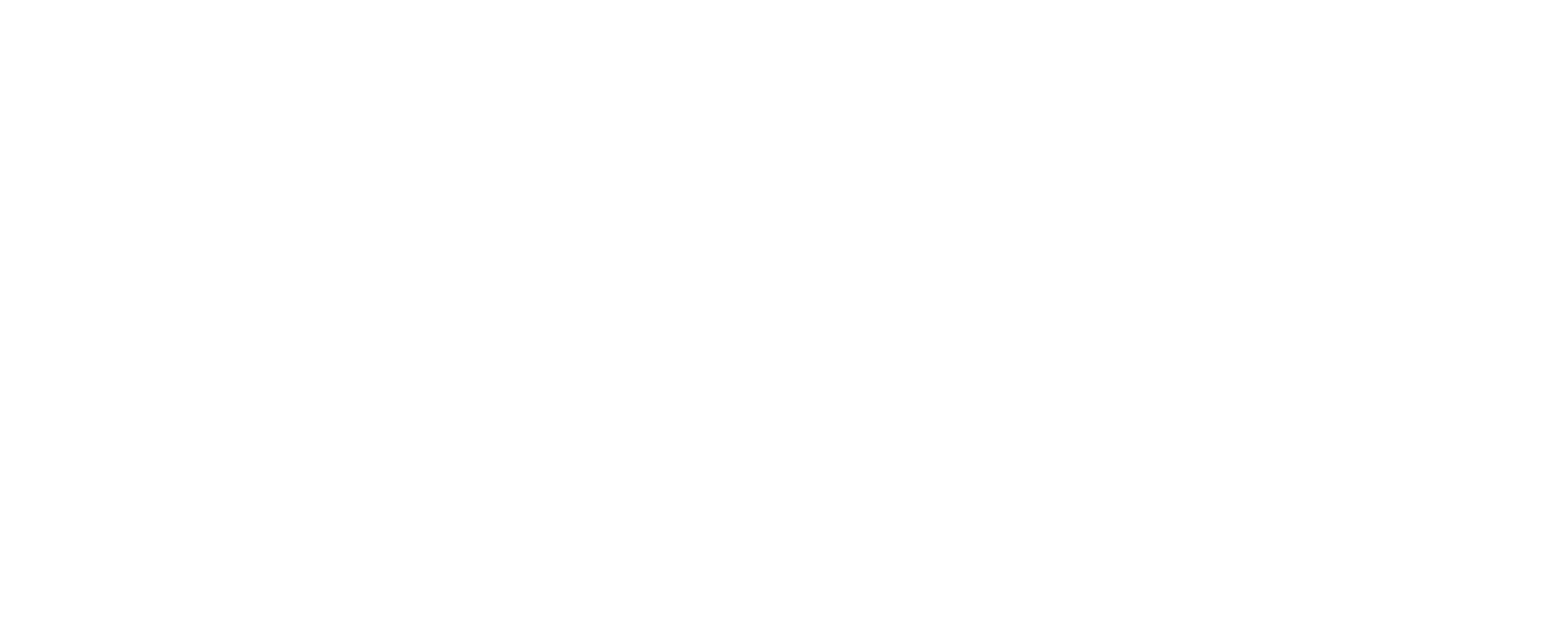 Womens March